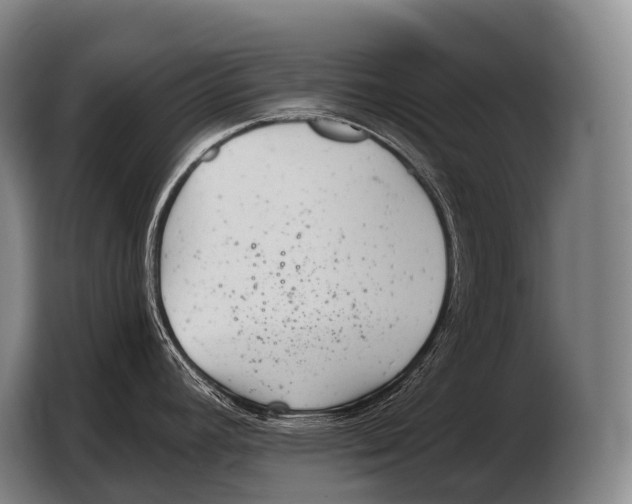 X0000103321392200810060946