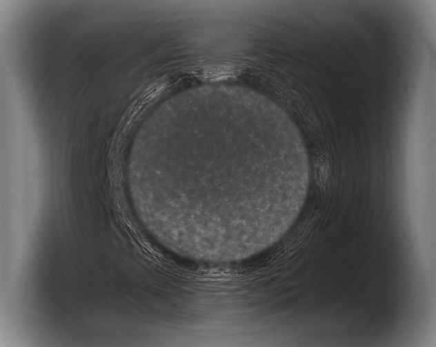 X0000103321393200810060945