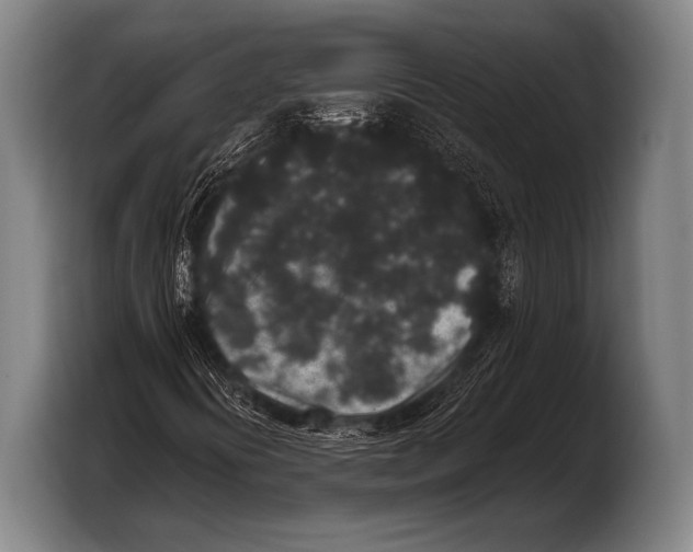 X0000103321394200810060945