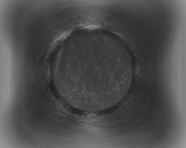 X0000103321398200810060945