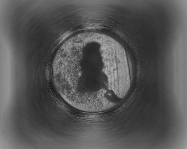 X0000103321401200810060945