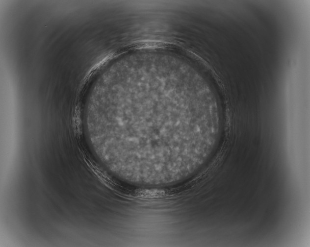 X0000103321403200810060945