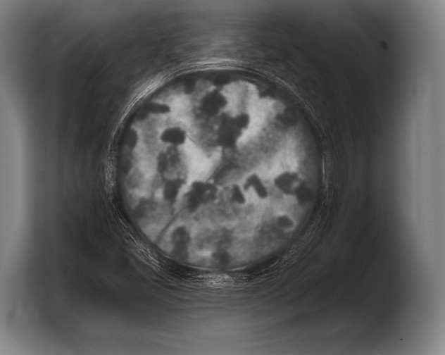 X0000103321405200810060945