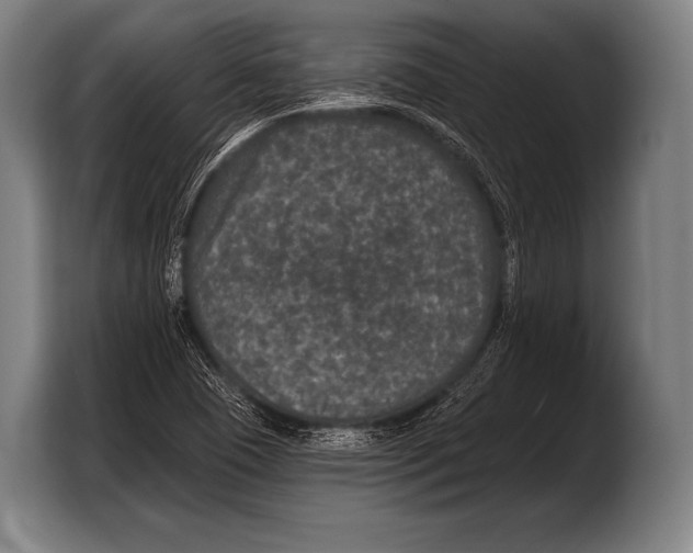 X0000103321409200810060945