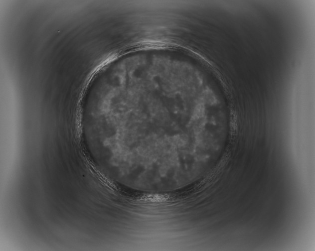 X0000103321411200810060945