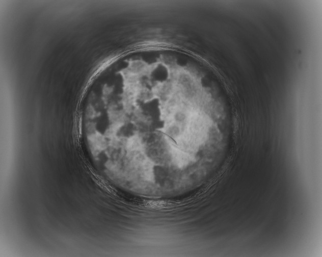 X0000103321413200810060945