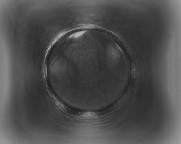 X0000103321414200810060945