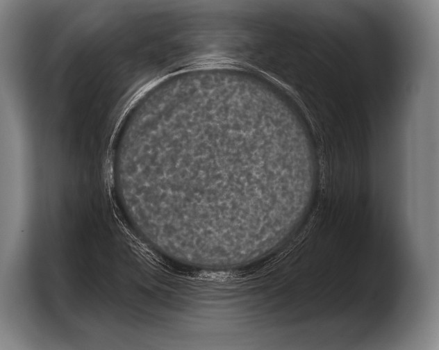 X0000103321415200810060945