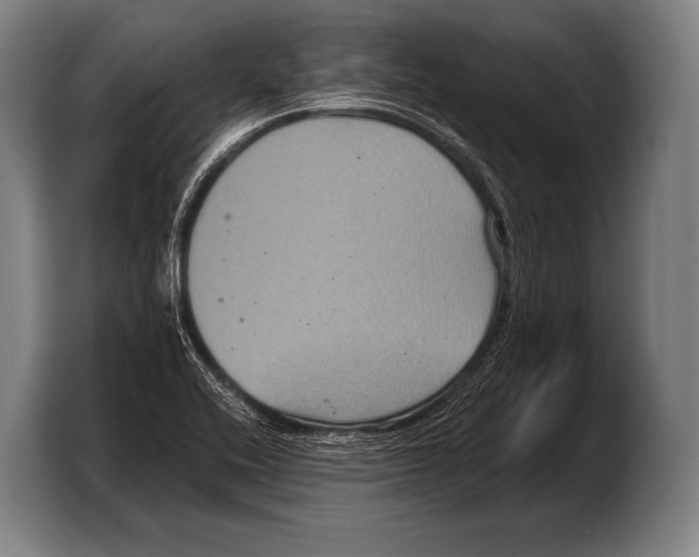 X0000103321416200810060945