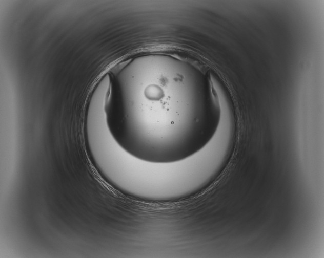 X0000103321417200810060945