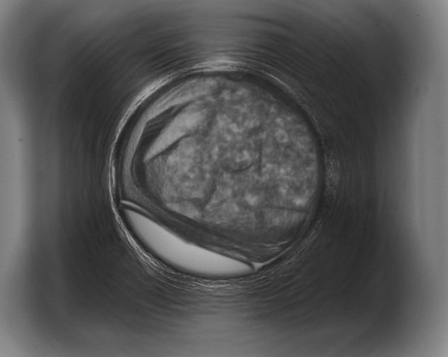 X0000103321418200810060945