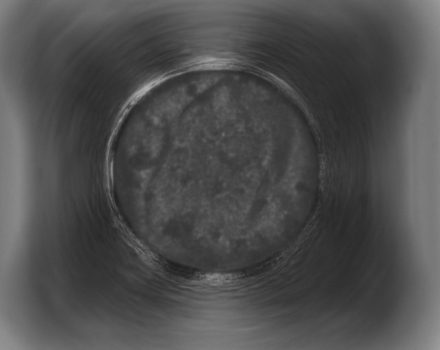 X0000103321419200810060945