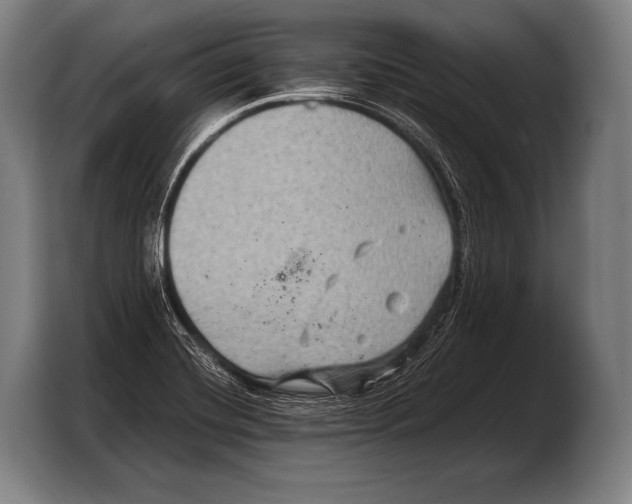 X0000103321420200810060945