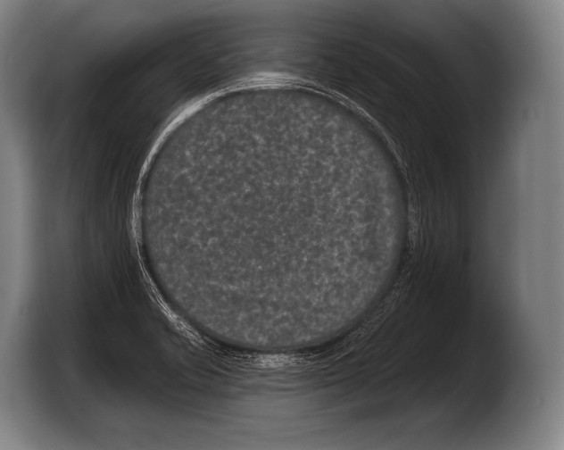 X0000103321421200810060946