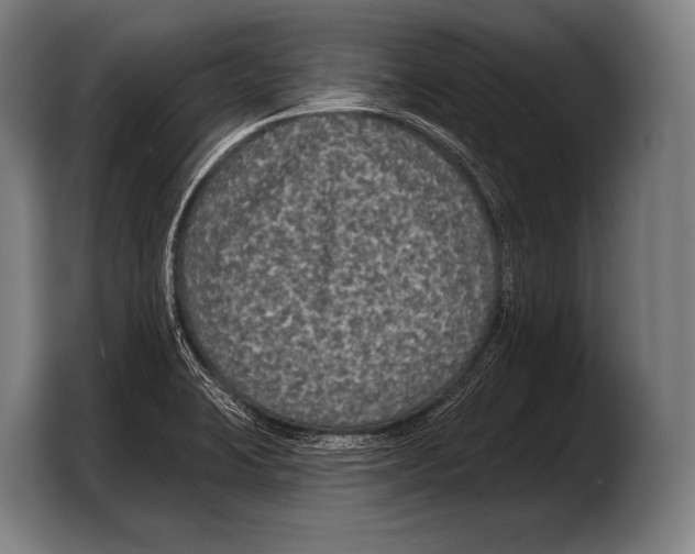 X0000103321423200810060946