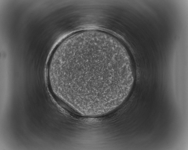 X0000103321424200810060946