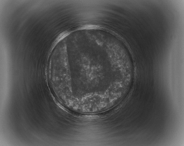 X0000103321425200810060946