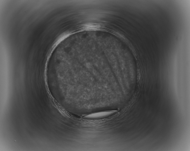 X0000103321427200810060946