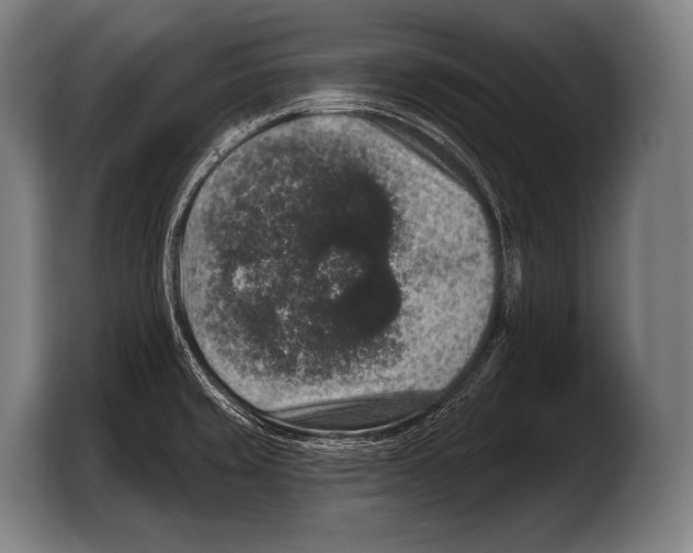 X0000103321429200810060946