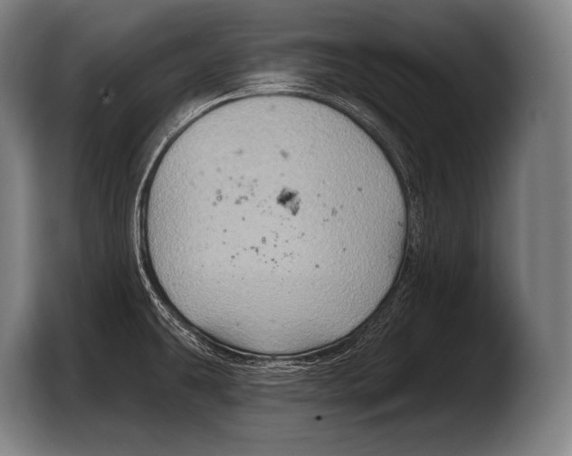 X0000103321431200810060946