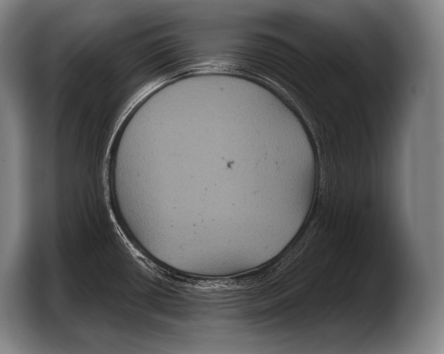 X0000103321434200810060946