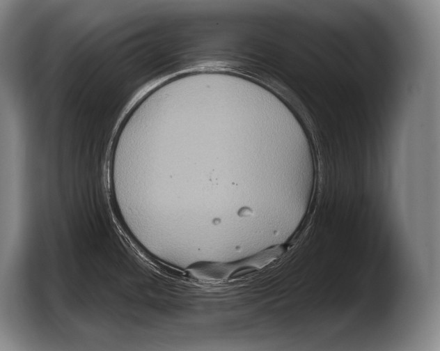 X0000103321436200810060946