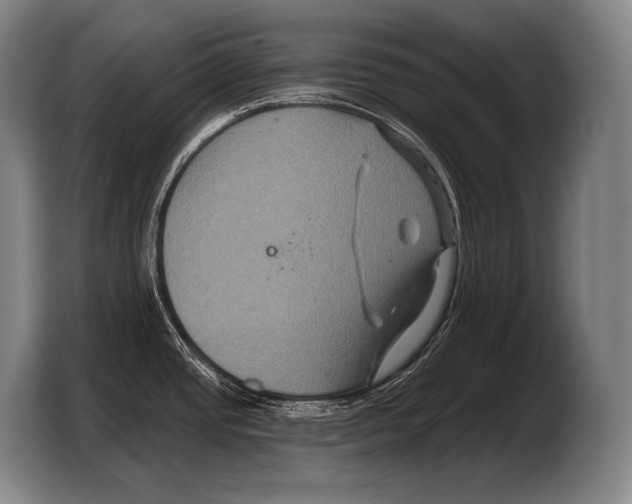 X0000103321437200810060946