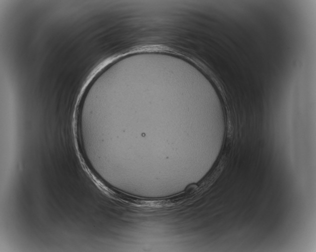 X0000103321438200810060946