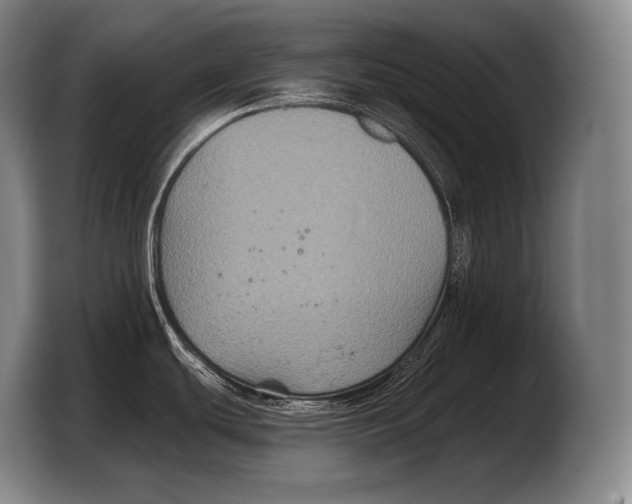 X0000103321439200810060946