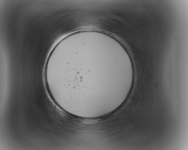 X0000103321440200810060946