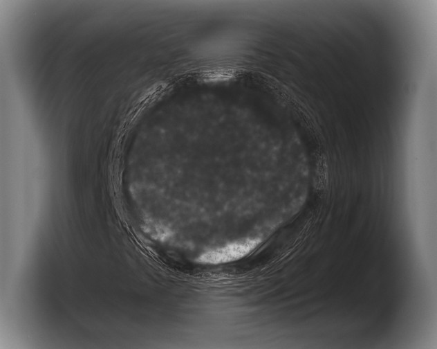 X0000103321441200810060945