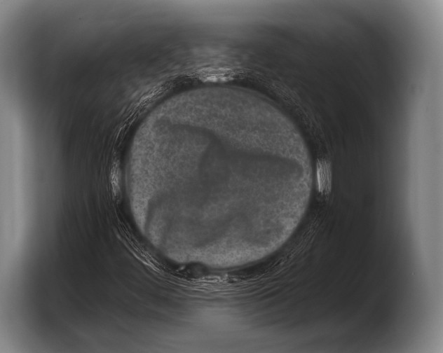 X0000103321444200810060945