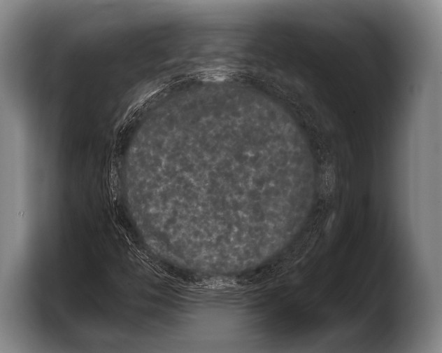 X0000103321446200810060945