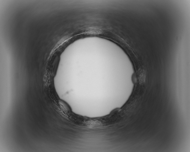 X0000103321448200810060945