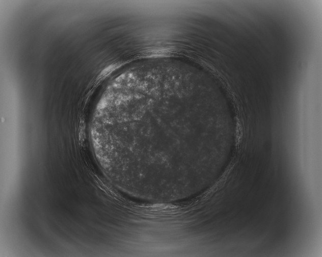 X0000103321449200810060945