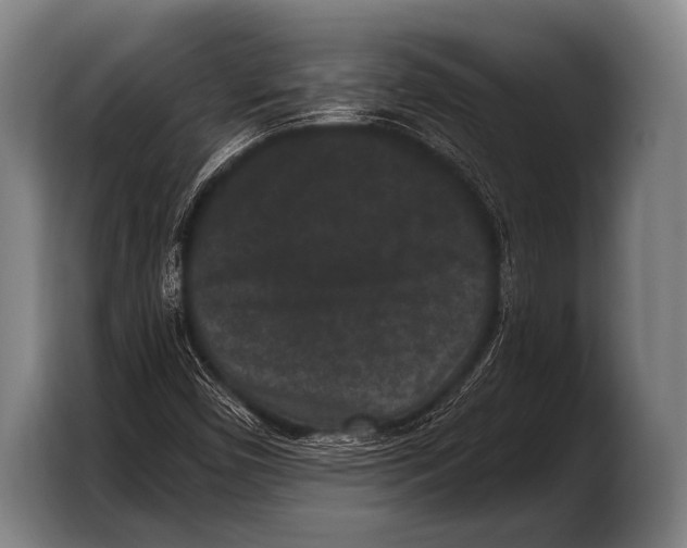 X0000103321450200810060945