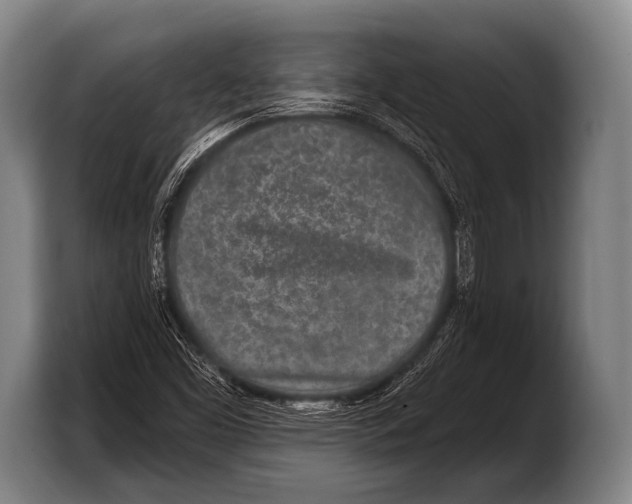 X0000103321453200810060945