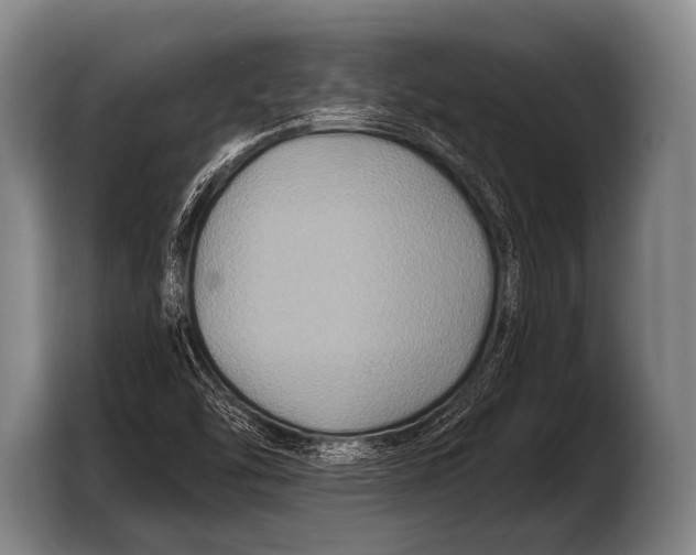 X0000103321454200810060945