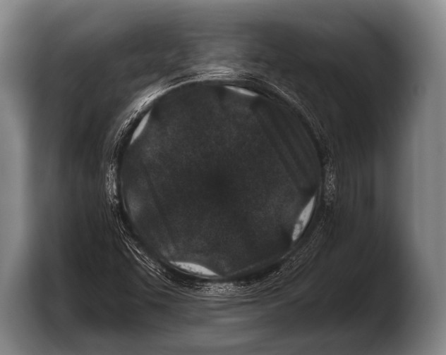 X0000103321455200810060945