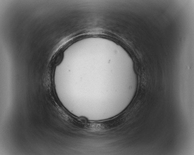 X0000103321456200810060945