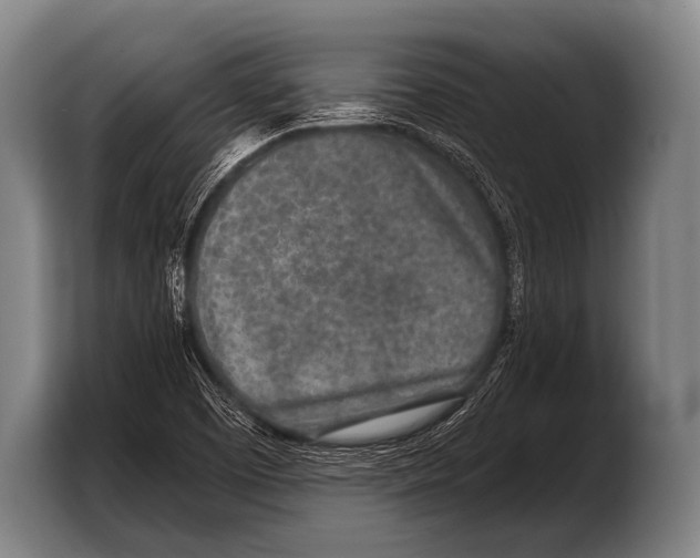 X0000103321457200810060945