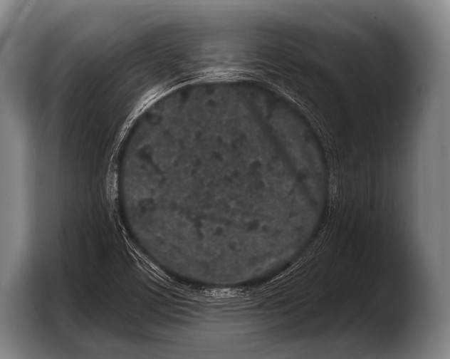 X0000103321459200810060945