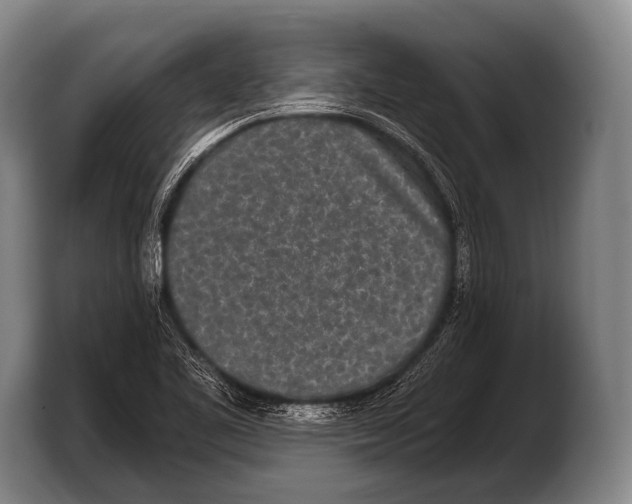 X0000103321461200810060945