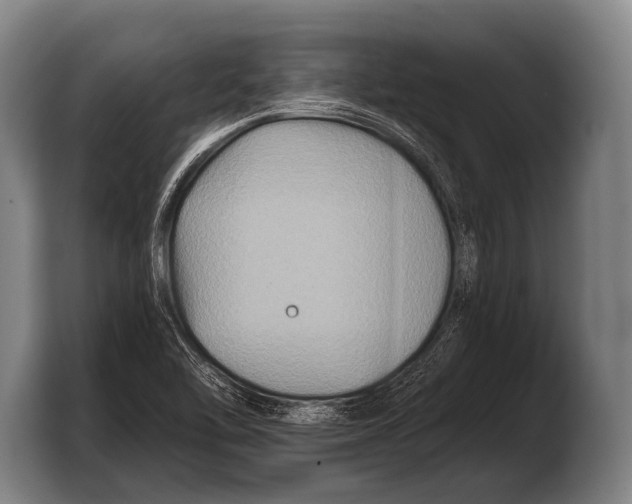 X0000103321462200810060945