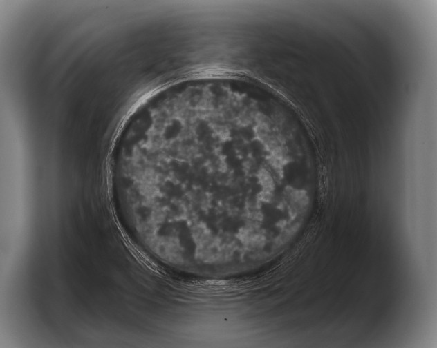 X0000103321463200810060945