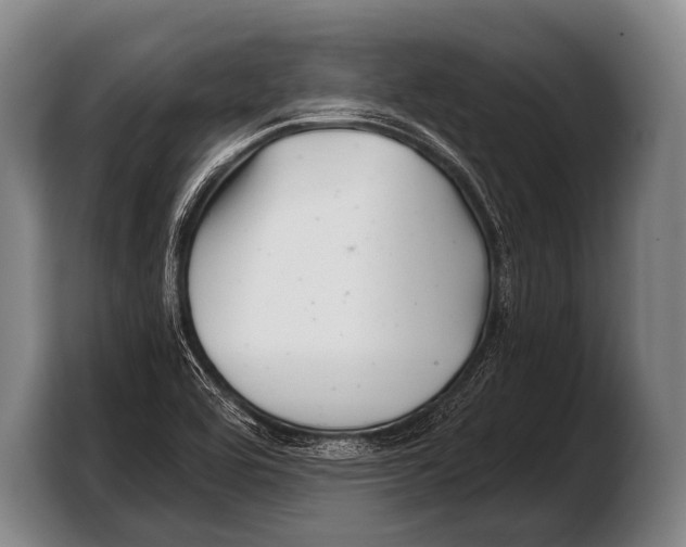 X0000103321464200810060945