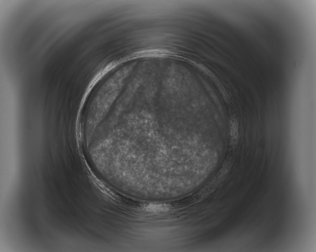 X0000103321466200810060945