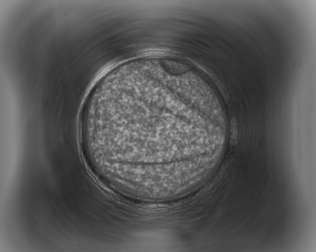 X0000103321467200810060945