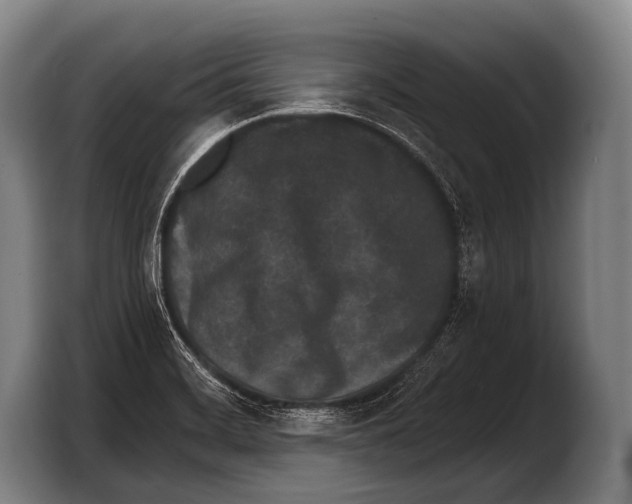 X0000103321468200810060945