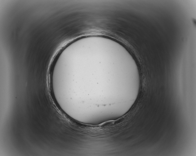 X0000103321472200810060945